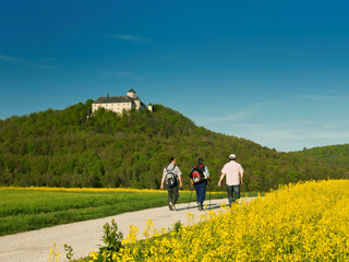 Schloss Greifenstein